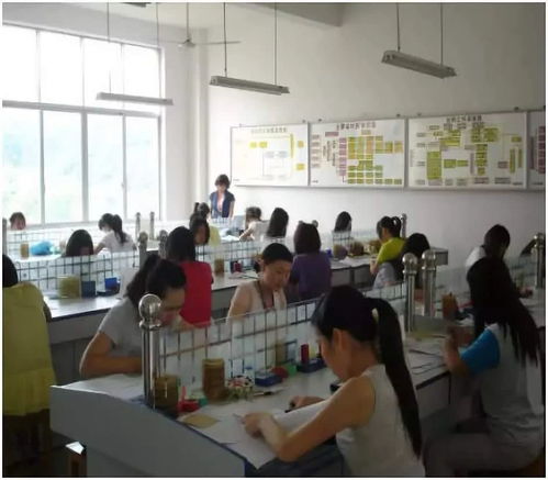 交通工程管理 連接未來(lái)與效率的專業(yè)選擇